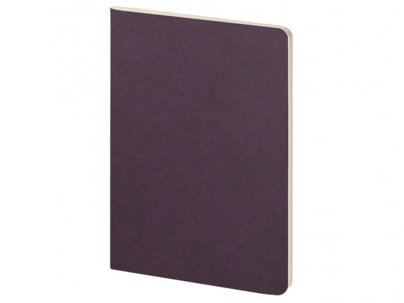 Бизнес тетрадь А5 Pragmatic, 40 листов в клетку, фиолетовый