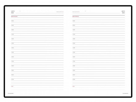 Ежедневник недатированный А6+ CAIMAN, коричневый