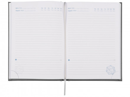 Ежедневник недатированный А5 Probe AR, графит