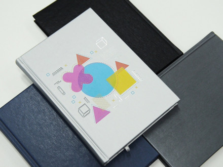 Ежедневник недатированный А5 Probe AR, графит