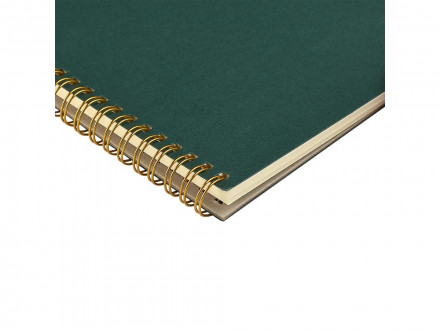 Бизнес тетрадь на гребне А5 Pragmatic, 60 листов в клетку, зеленый