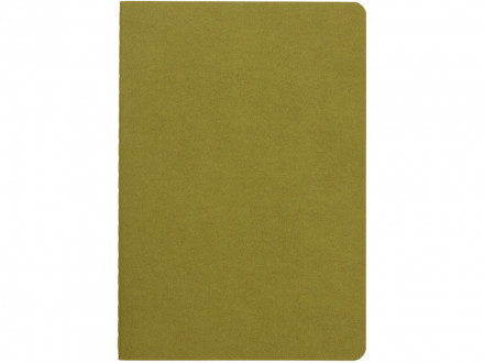 Бизнес тетрадь А5 Pragmatic, 40 листов в клетку, зеленый хаки