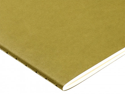 Бизнес тетрадь А5 Pragmatic, 40 листов в клетку, зеленый хаки