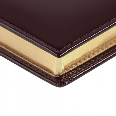 Ежедневник LUXE REPTAIL, недатированный, коричневый