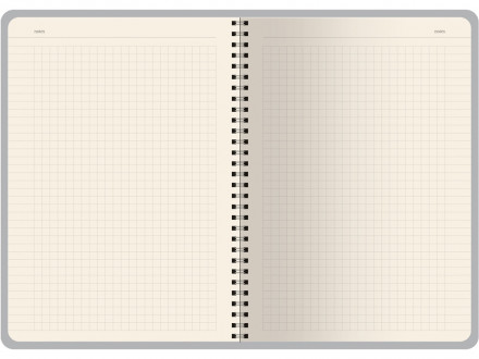 Бизнес тетрадь на гребне А5 Pragmatic, 60 листов в клетку, красный