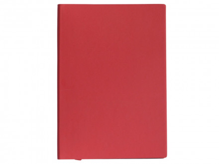 Бизнес-блокнот C1 софт-тач, гибкая обложка, 128 листов, красный
