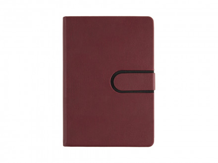 Ежедневник недатированный А5 Status, бордовый