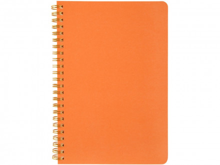 Бизнес тетрадь на гребне А5 Pragmatic, 60 листов в клетку, оранжевый