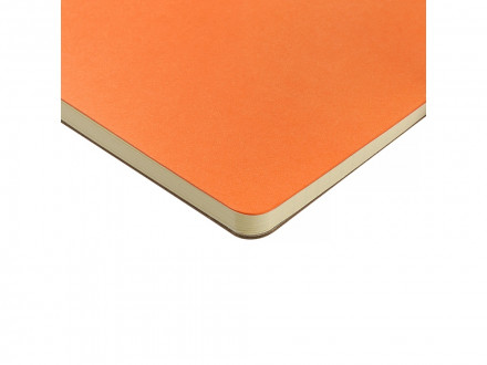 Бизнес тетрадь на гребне А5 Pragmatic, 60 листов в клетку, оранжевый