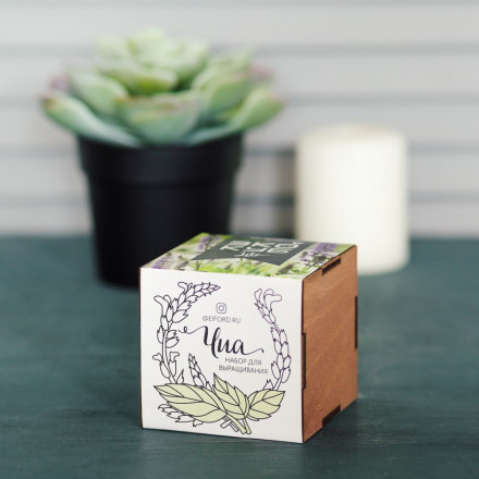 Набор для выращивания «Экокуб Lite», чиа