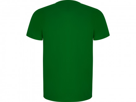 Футболка Imola мужская, папоротниковый