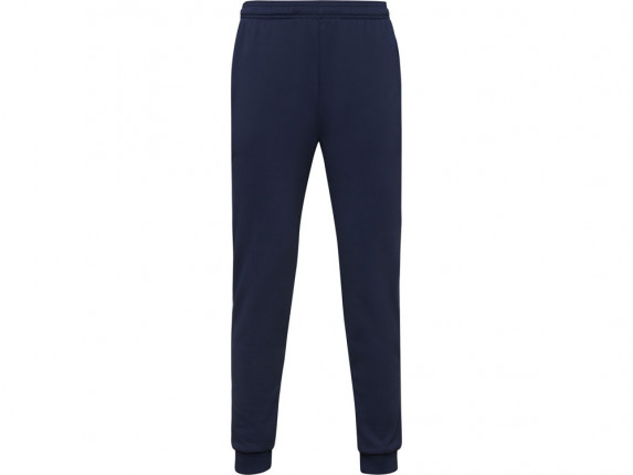 Брюки спортивные Rodas мужские, синий нэйви