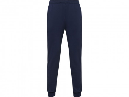 Брюки спортивные Rodas мужские, синий нэйви