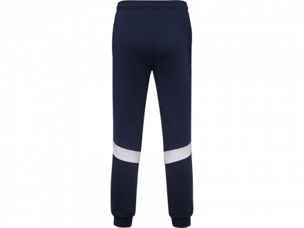 Брюки спортивные Rodas мужские, синий нэйви