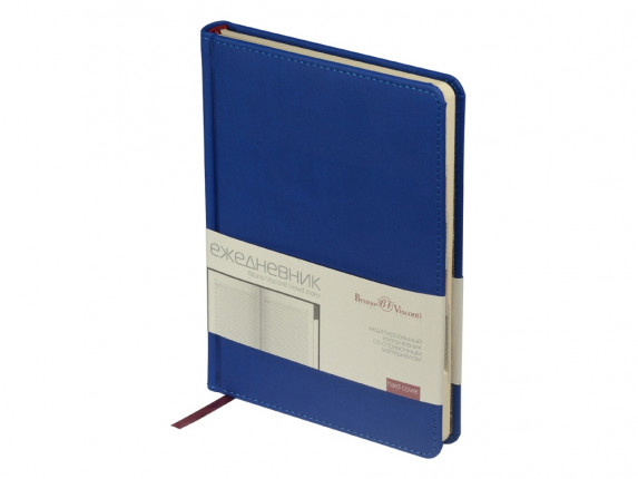 Ежедневник недатированный А5 Velvet Index (синий)
