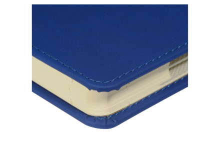 Ежедневник недатированный А5 Velvet Index (синий)