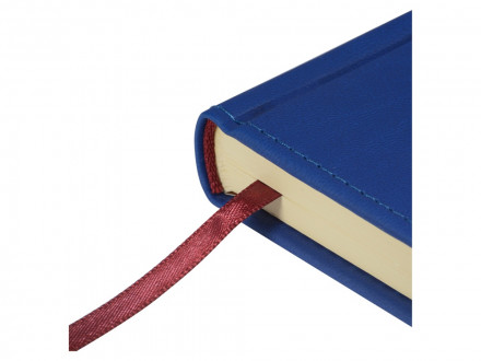 Ежедневник недатированный А5 Velvet Index (синий)