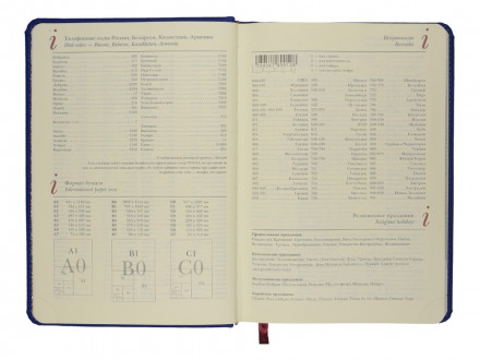 Ежедневник недатированный А5 Velvet Index (синий)