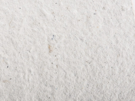 Живой блокнот с семенами цветов, А6, белый