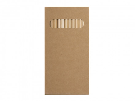 Набор из 12 цветных карандашей Painter, крафт