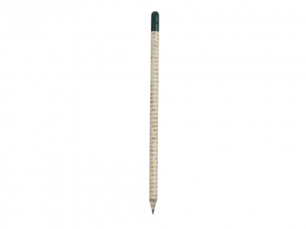 Растущий карандаш с семенами мяты