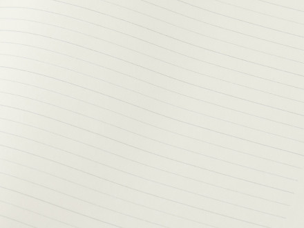 Бизнес-блокнот С3 софт-тач с магнитом, твердая обложка, 96 листов, черный