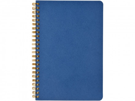 Бизнес тетрадь на гребне А5 Pragmatic, 60 листов в клетку, синий