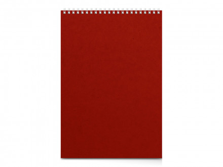 Бизнес - блокнот А4 (198 х 285 мм) Office 60 л., красный