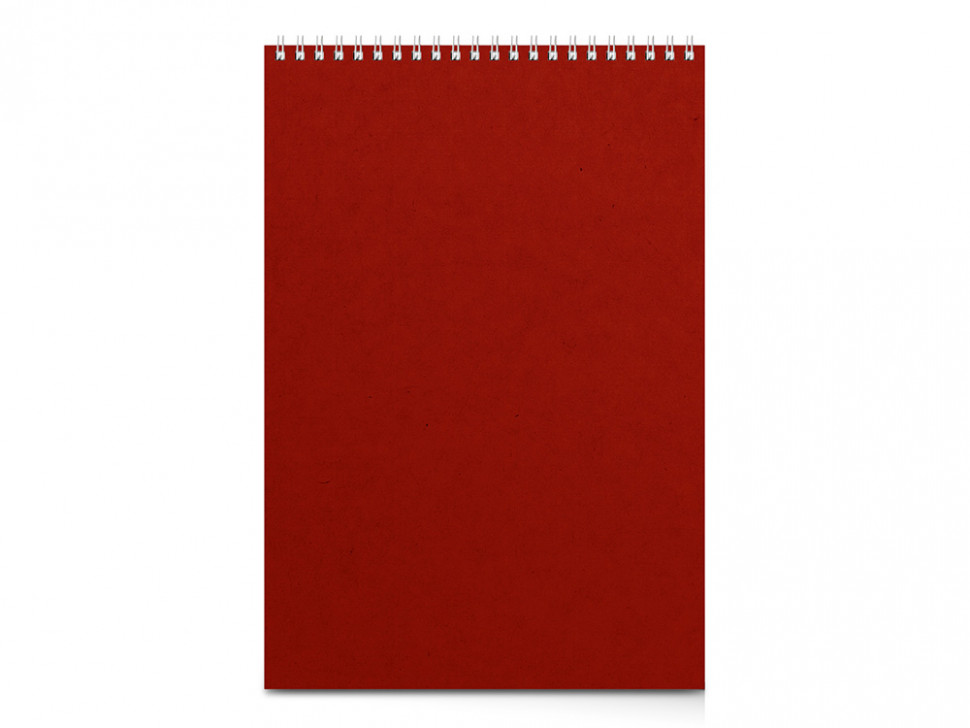 Бизнес - блокнот А4 (198 х 285 мм) Office 60 л., красный