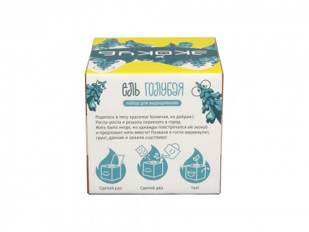 Набор для выращивания Экокуб Magicme Ель Голубая