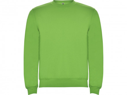 Свитшот с начесом Clasica детский, зеленое яблоко