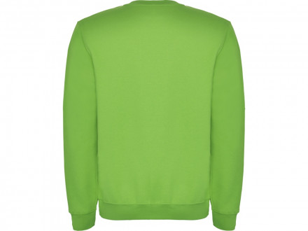 Свитшот с начесом Clasica детский, зеленое яблоко