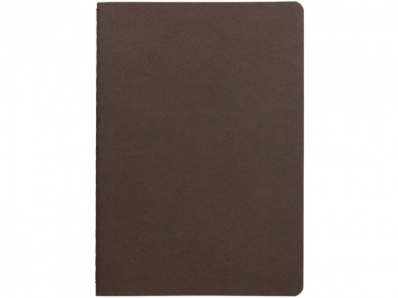 Бизнес тетрадь А5 Pragmatic, 40 листов в клетку, темно-коричневый
