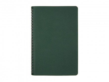 Ежедневник недатированный А5 Alba, зеленый