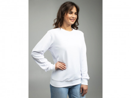 Толстовка втачной рукав. Модель 1 (Футер петлевой) (Размер 50-182, Цвет Белый)