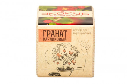 Набор для выращивания «Экокуб», гранат