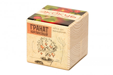 Набор для выращивания «Экокуб», гранат