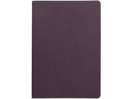 Бизнес тетрадь А5 Pragmatic, 40 листов в клетку, фиолетовый