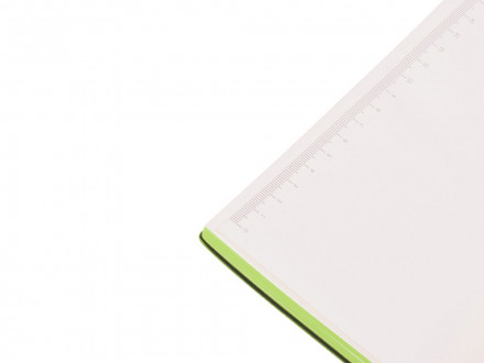 Бизнес-блокнот C1 софт-тач, гибкая обложка, 128 листов, зеленое яблоко