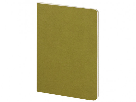 Бизнес тетрадь А5 Pragmatic, 40 листов в клетку, зеленый хаки