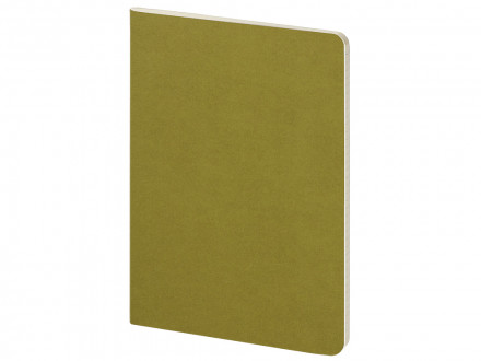 Бизнес тетрадь А5 Pragmatic, 40 листов в клетку, зеленый хаки