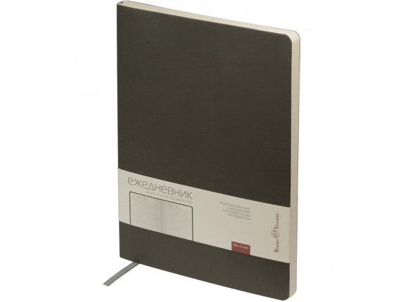 Ежедневник недатированный B5 Megapolis Flex (серый)