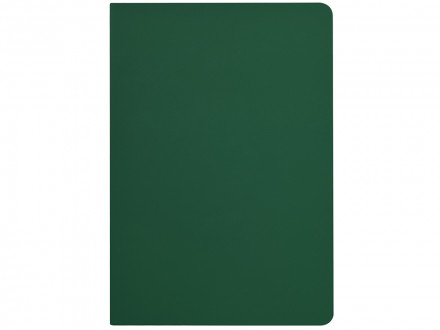 Бизнес-тетрадь А5 Pragmatic Contrast, 40 листов в клетку, темно-зеленый с салатовым срезом