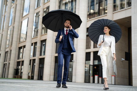 Зонт-трость Ella, серый