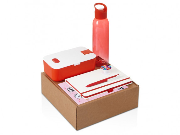 Подарочный набор с бутылкой для воды. блокнотом, ручкой и ланчбоксом, красный