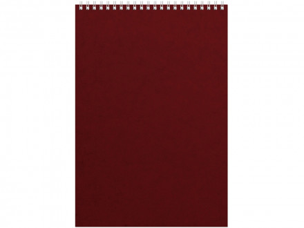 Бизнес - блокнот Альт А4 (198 х 285 мм) Office 60 л., бордовый