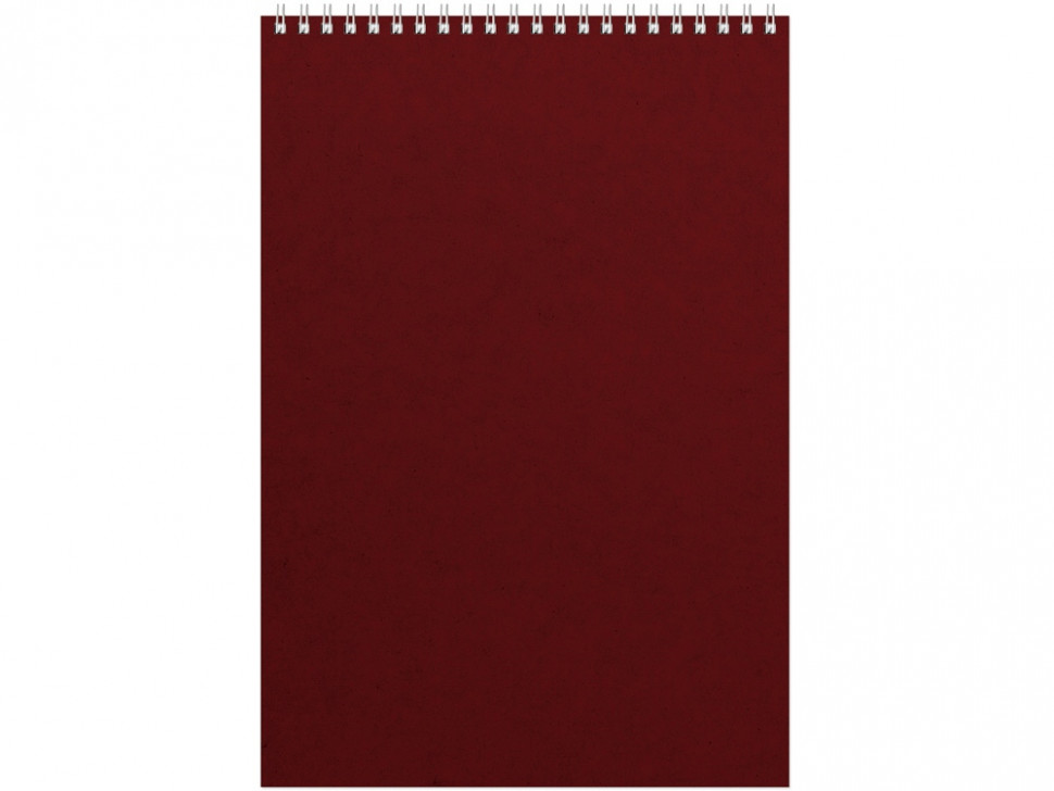 Бизнес - блокнот Альт А4 (198 х 285 мм) Office 60 л., бордовый