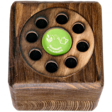 Набор для выращивания с органайзером «Экокуб Burn», годжи