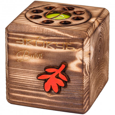 Набор для выращивания с органайзером «Экокуб Burn», годжи