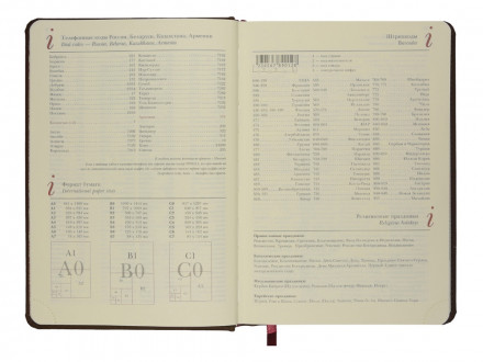 Ежедневник недатированный А5 Velvet Index (коричневый)